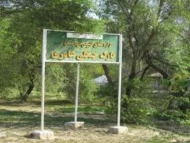 هموطنان از ریختن زباله در پارک جنگلی عامری دیلم پرهیز کنند