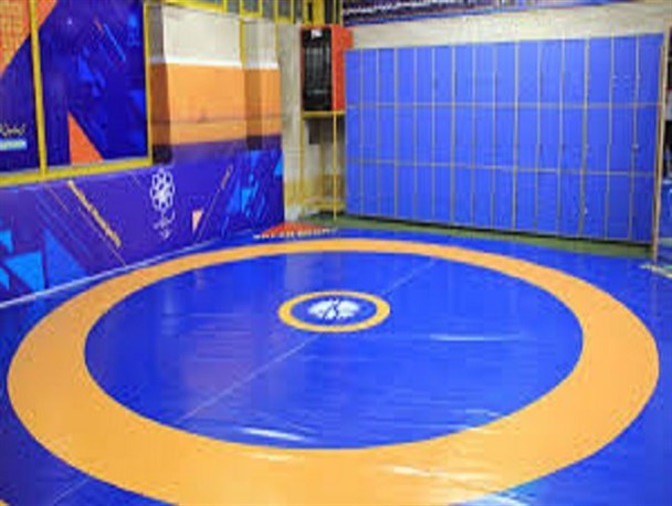 کشتی انتخابی المپیک| تکلیف ۱۲ سهمیه کشتی فرنگی در مجارستان مشخص شد