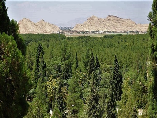 وسعت جنگل‌های شمال استان کرمان بیش از یک میلیون هکتار است/ نقش ویژه جنگل‌های استان در امر حفاظت