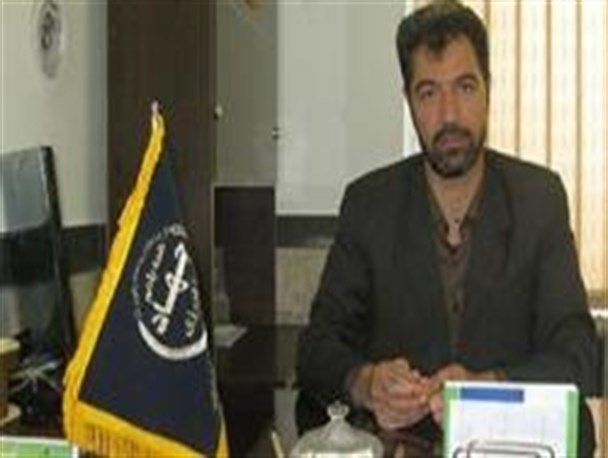 پیش بینی برداشت 25 هزار تن محصول گندم وجو ازمزارع شهرستان بشرویه