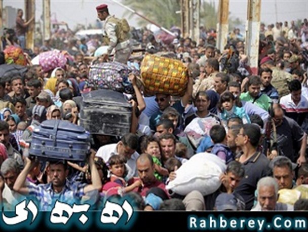 نماز خواندن شیعه و سنی کنار هم،نشانه وحدت در یمن+کلیپ
