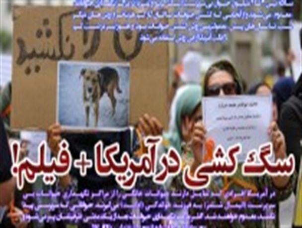 سگ کشی در آمریکا! + فیلم