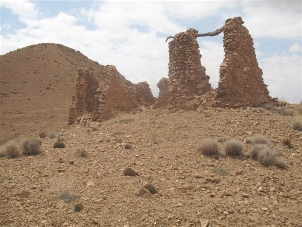 شناسایی6 آسباددربخش سده شهرستان قاینات+تصویر