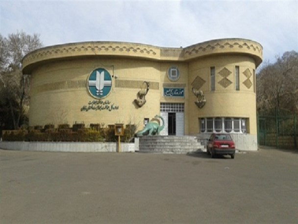 بازدید از موزه تاریخ طبیعی زنجان برای عموم رایگان است/ درختان برای زمین وزمین برای زندگی شعار روز جهانی زمین پاک