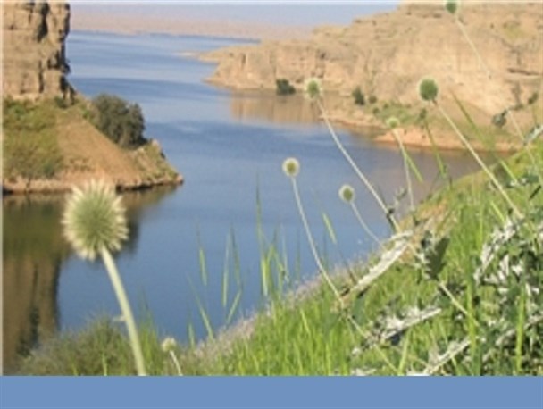 بارندگی باعث رفع بلندمدت مشکل آب کشاورزی شد