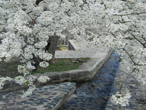 رویایی همچون کمربسته سرکان+تصاویر