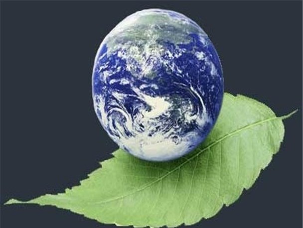 اختصاص ۹ میلیارد تومان به اجرای پروژه‌های منابع طبیعی زنجان/ لزوم تسریع در اجرای پروژه‌های حفاظتی و حراستی منابع طبیعی در زنجان