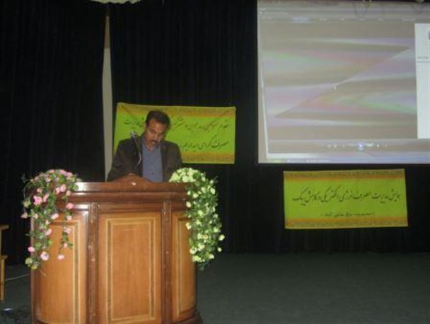 30 مشترک کم مصرف برق در حاجی آباد تجلیل شدند