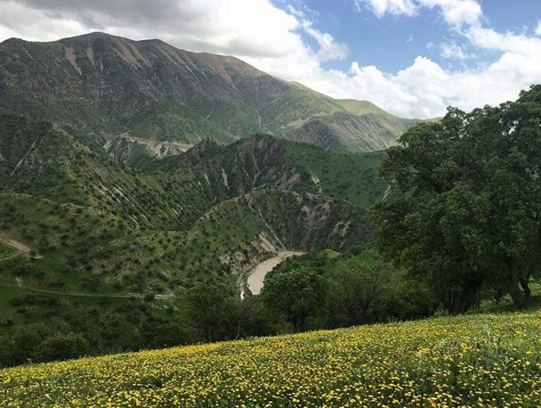 طبیعت زیبای شهرستان ثلاث باباجانی