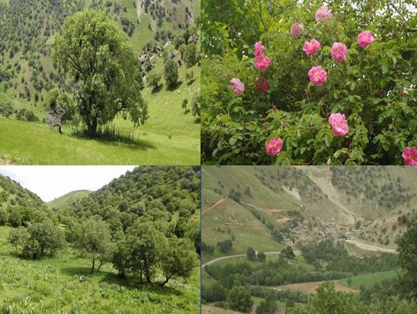 طبیعت زیبای روستای "هواندران" و "سفیدبرگ "در شهرستان جوانرود