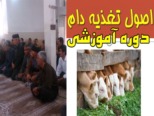 برگزاری دوره آموزش بهداشت جایگاه و تغذیه دام برای دامداران مددجو درجوانرود