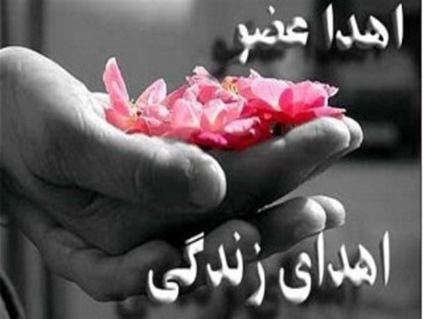 سـلام دوباره‌ای به زندگی