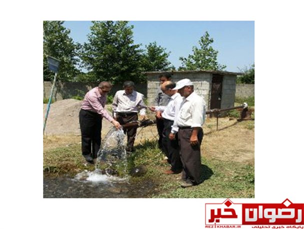 فرماندار رضوانشهر از مزارع کشاورزی شهرستان رضوانشهر بازدید نمود+ تصاویر