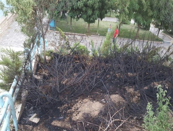 پارک سرچشمه دلیجان طعمه حریق شد+عکس
