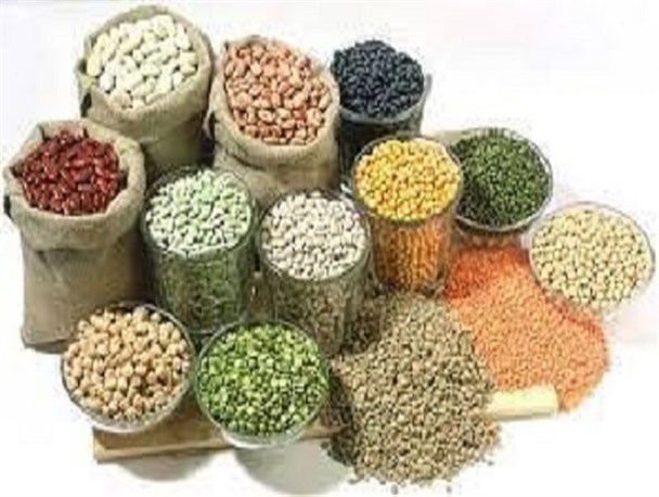 وجود برخی حبوبات خارجی در بازار بیانگر کمبود کالاهای تولید داخلی است