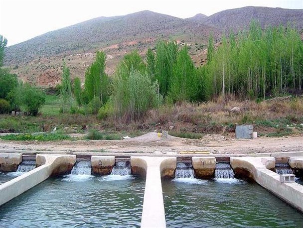 عزم راسخ جوان روستایی برای عینیت بخشیدن به اقتصاد مقاومتی با پرورش ماهی/خودکفایی گام اول در الفبای اقتصاد مقاومتی است