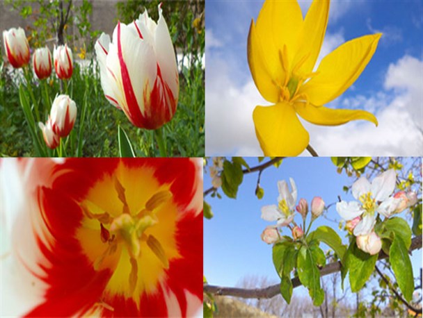 مناظر رویایی تویسرکان