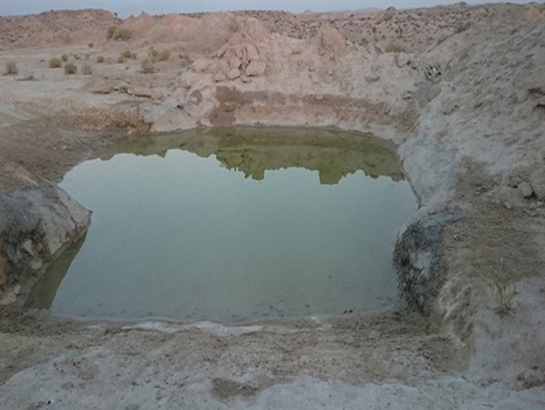 حرکت محیط زیستی قابل تقدیر یکی از اهالی بنه گز تنگستان + عکس
