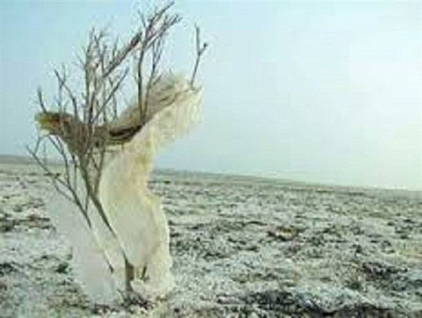 می‌خواهم در سیستان بمانم دولت‌مردان و عقلای قوم به من بگویند چگونه؟