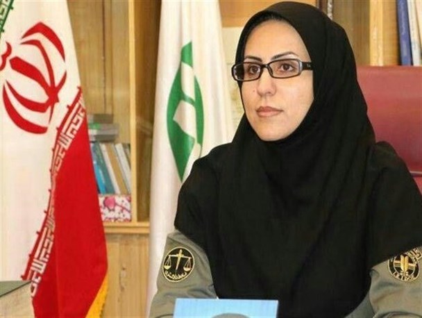 گزارشی مبنی بر حمله گرگ به محیط زیست استان یزد نرسیده است/ گرگ ها در تابستان حمله نمی کنند!