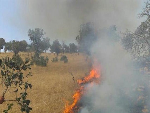 بیش از 400 هکتار از مراتع و جنگلهای غنی در گیلانغرب طعمه آتش شد/مهار آتش نیازمند کمک مسئولان است