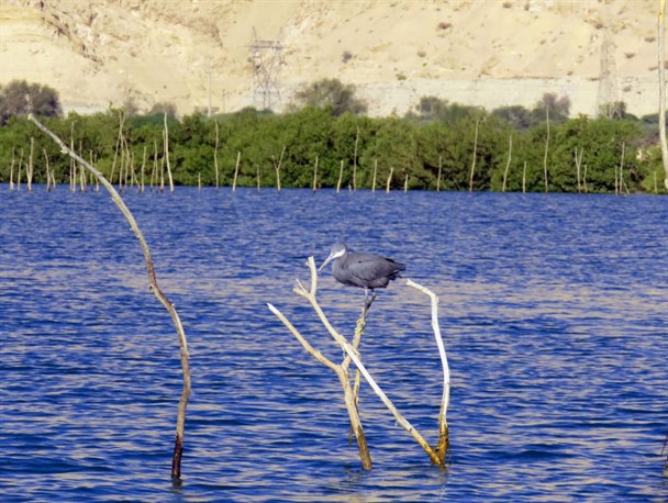 جاذبه های گردشگری بندر خمیر+تصاویر