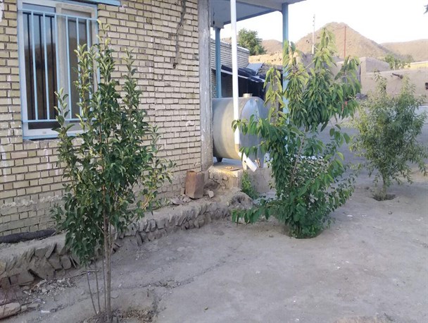 آبیاری درختچه های حیاط خانه با آب خاکستری آشپزخانه