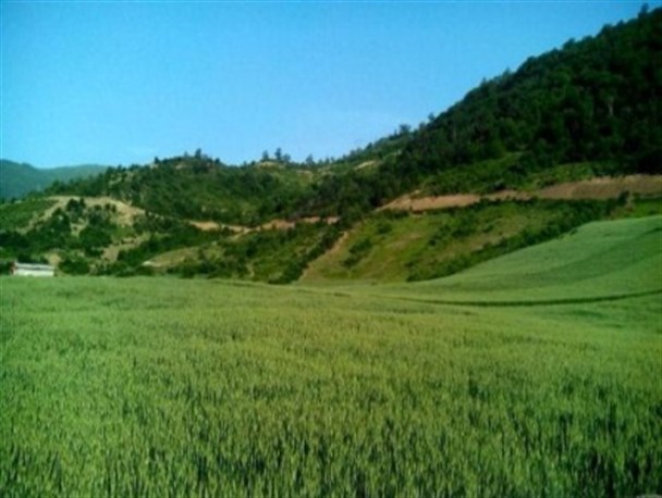 تصاویر محسور کننده از روستای شیرین آباد