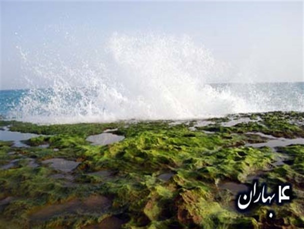 نوازش نسیم خنک مونسون بر دیار تفتیده مکران وزیدن گرفت/ پدیده مونسون از عوامل جذب گردشگر به چابهار است