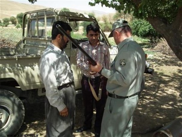 شکارچی کبک های بوکان در تور محیط بانان