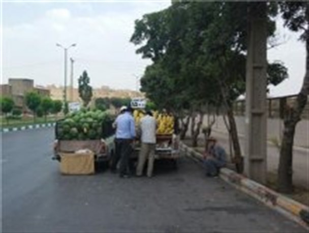 وانت بارهای میوه فروش چهره زنجان را نازیبا کرده است/ افزایش قاچ گونه وانت بارها در زنجان