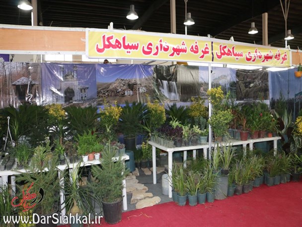 چهارمین نمایشگاه گل و گیاه، مبلمان و خدمات با حضور شهرداری سیاهکل برگزار شد+ گزارش تصویری