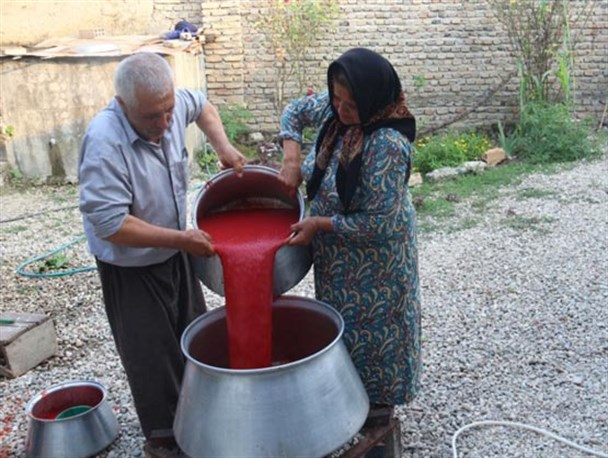 تصاویر / پخت رب گوجه با دستان زنان زحمتکش روستایی