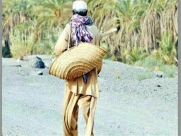 ریش و قیچی خرمای جنوب کرمان در دست دلال ها
