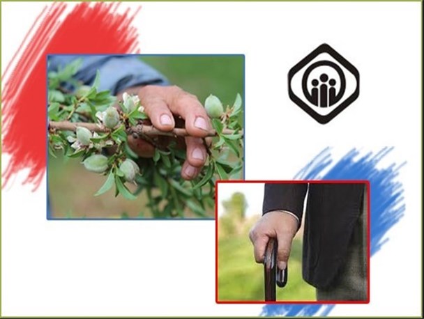 مستمری بگیران تامین اجتماعی زندگی را با فیش یک میلیونی مدیریت می کنند