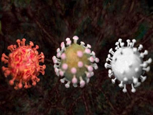 ویروس کرونا بیشتر به کدام اعضای بدن آسیب وارد می‌کند؟ +اینفوگرافی