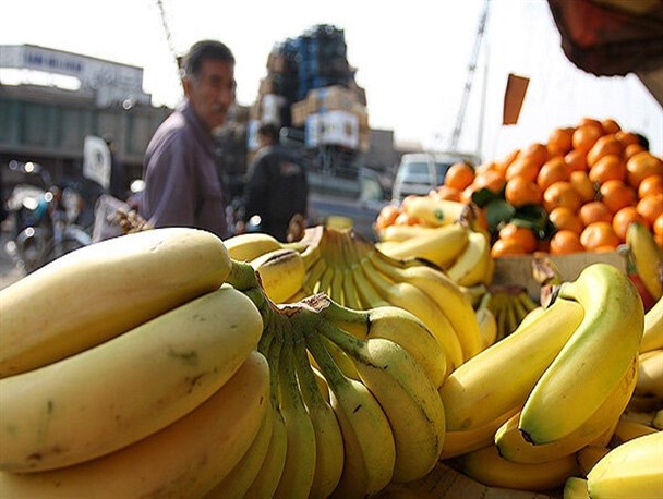 آیا قم مستعد کشت موز است یا خیر؟