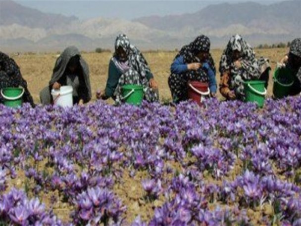 فعالیت ۹ تعاونی زنان روستایی در کرمانشاه/ درخواست ۶۰ میلیارد تومان اعتبار برای فعالیت اقتصادی بانوان