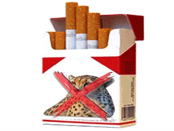 انتقاد از اقدام خودسرانه شرکت دخانیات ایران/ مخالفت با درج عکس یوز ایرانی روی پاکت سیگار