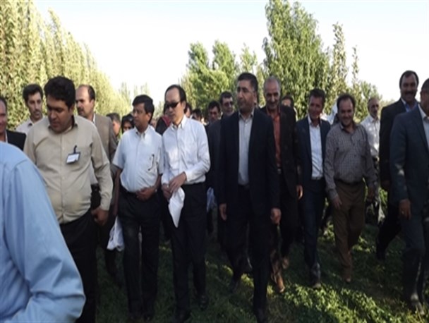 سفر سفیر ژاپن و معاون نماینده سازمان ملل به شهرستان میاندوآب+ تصاویر