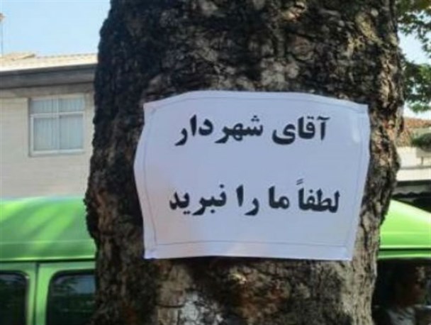 اعتراض به قطع درختان توسط شهرداری رشت