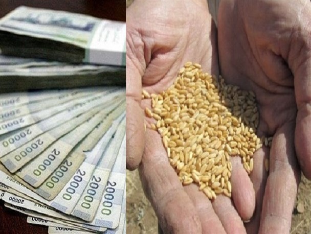 خرید تضمینی‌ دولت تدبیر، اَشک‌ کشاورزان را در آورد/ کشاورزان همچنان در انتظار واریز وجه گندم