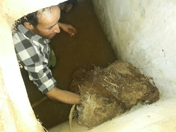 22 روستای شازند با چشمه آبرسانی می شوند/آبرسانی به ۴۲ روستای بخش سربند منتظر اعتبار ملی