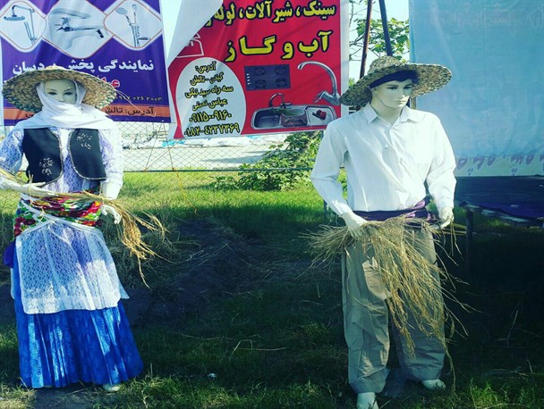 نخستین جشنواره برداشت محصول برنج (مهرگان) در تالش برگزار شد