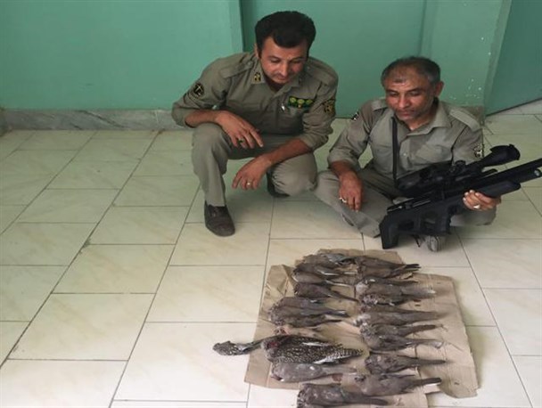 سه متخلف شکار و صید در شهرستان بندرلنگه دستگیر شدند