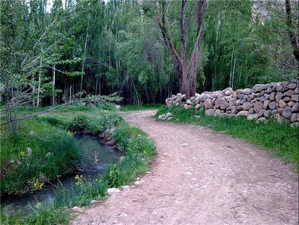 فعالیت مجتمع های گردشگری بدون مجوز در روستای ونایی/ساماندهی تنها راه حل رفع مشکل