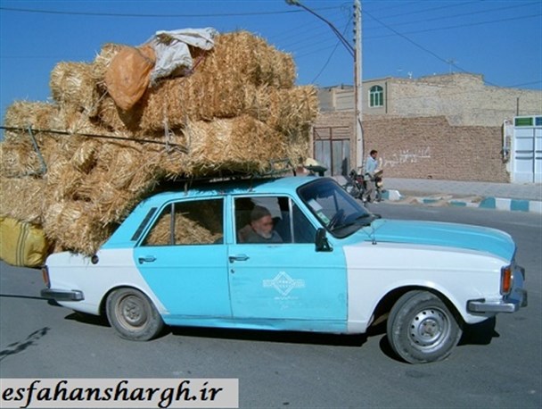 آخر  و عاقبت پیکان / عکس