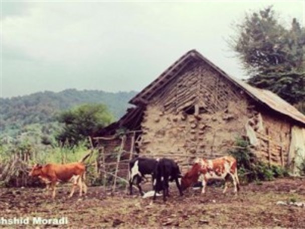 سه فرمول ساده برای سلامتی