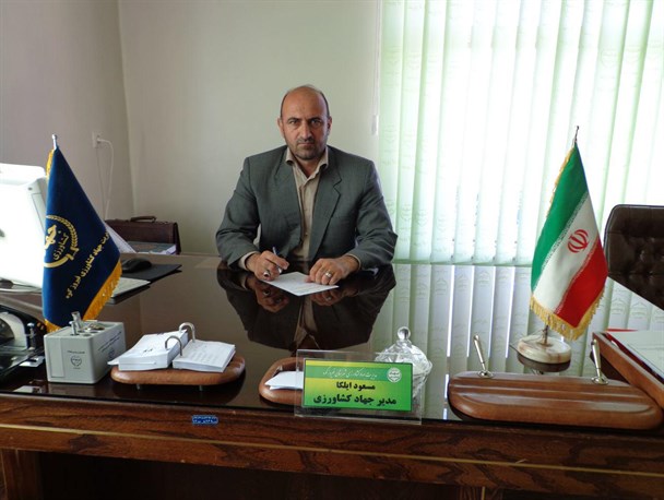 برداشت انار از مزارع شهرستان فیروزکوه آغاز شد