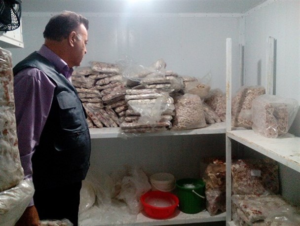 بیش از 500 کیلوگرم گوشت فاسد در شاندیز کشف و ضبط شد